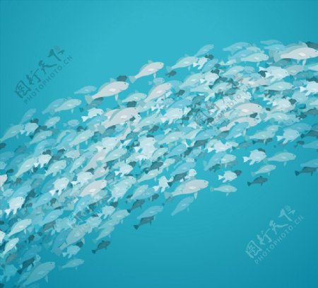 美丽银色深海鱼群图片