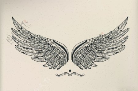 翅膀飞翔天使的翅膀装饰图案图片