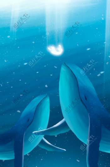 海洋鲸鱼清新插画卡通海报素材图片