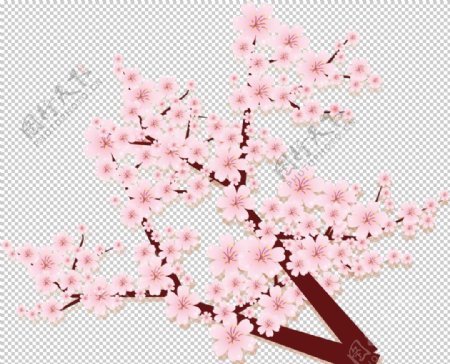 樱花装饰素材图片