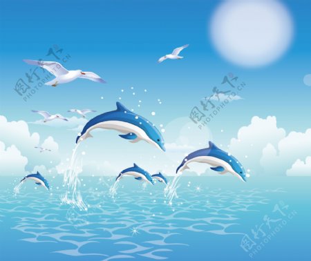 海豚蓝天水波图片