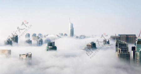 雾气城市图片