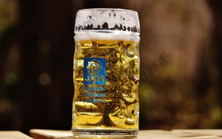 冰爽的啤酒图片