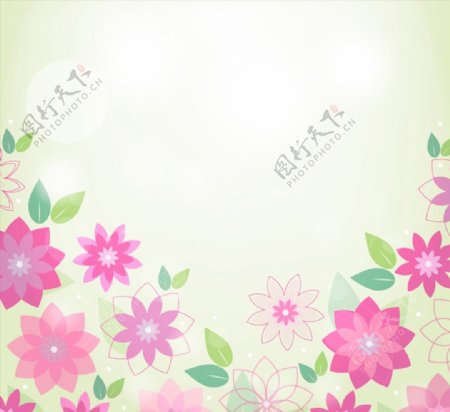 春季粉色花朵背景图片