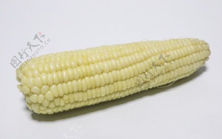 单个玉米高清摄影图图片