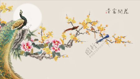 孔雀梅花牡丹背景墙图片