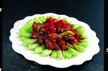 豫菜泡椒泉水鸡图片