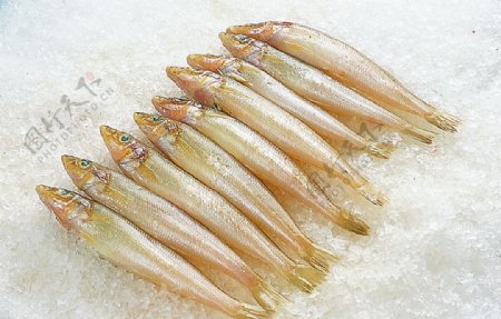浙菜沙丁鱼图片