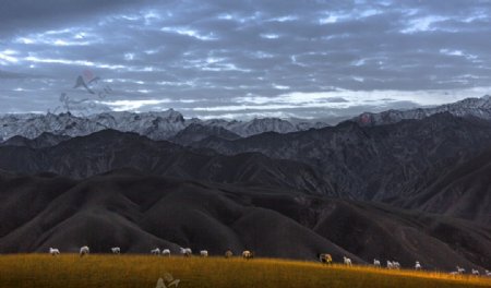 新疆风景图片