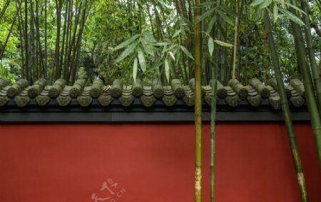 竹子红墙大图图片