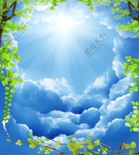 蓝天白云绿叶背景图片