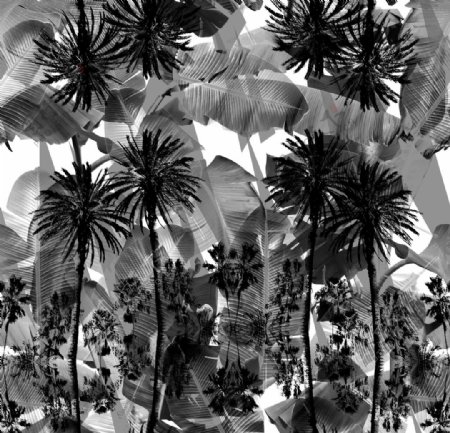 抽象椰子树图片