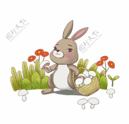 兔子采蘑菇插画图片