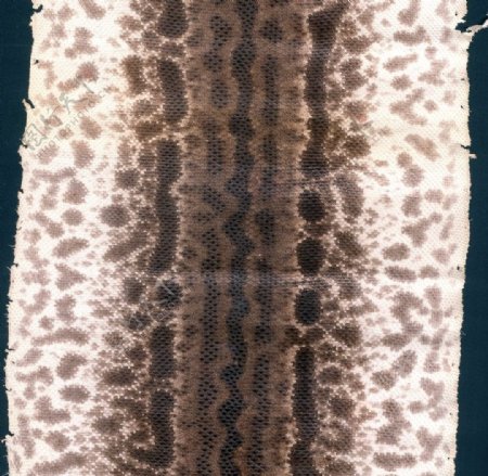 沙蛇扫描件蛇纹沙蛇纹图片