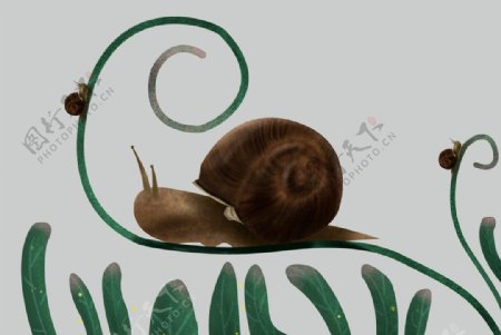 手绘写实蜗牛图片