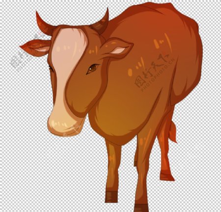 牛插图图片