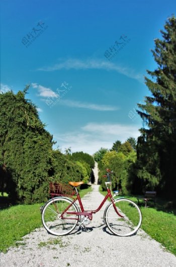自行车图片